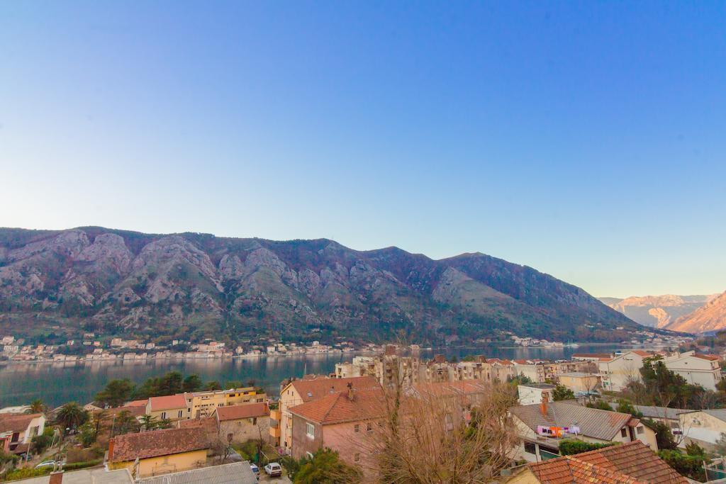 Apartman Zenit *